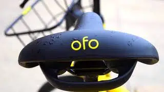 #FrayLife