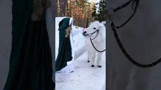 Полдня пошива ради 10 минут прогулки🫣