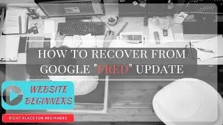 How to Recover from Google "Fred" Update - Website Beginners.com