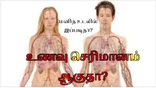 #How to digest food in human body#🙄🙄உணவு நமது உடலில் இப்படித்தா செரிமானம் ஆகுத🙄🙄?|Circulatry system