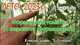 ЛЕТО. Формируем томаты  (4 варианта)