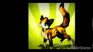 Коты - воители Пестролистая