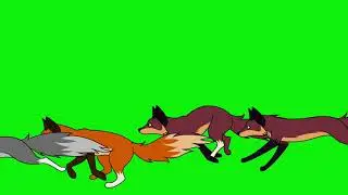 Fox And Cat Stampede Green Screen