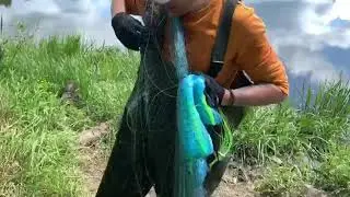 Кастинговая сеть