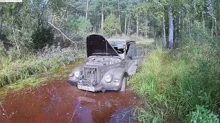 Вот такая получилась поездка за грибами!!!!