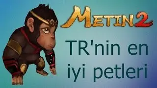 Metin2 TR'nin en iyi petleri