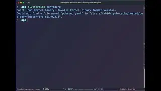 [Fixed] Can't load Kernel binary: Invalid kernel binary format version. flutterfire configure.