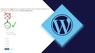How to Return the WordPress Plugin to the Previous Version