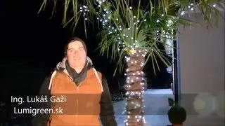 Mrazuvzdorná palma naozaj znáša aj slovenské zimy!