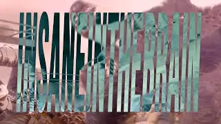 insane in the brain