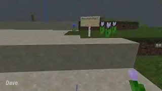 Wholesome Parrots Dancing in a nutshell