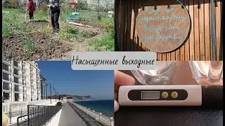 Проверили воду - пить нельзя // Нужна скважина // Приехала мама // Насыщенные выходные