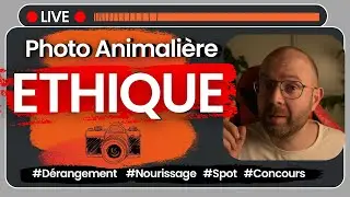 L'ETHIQUE en Photographie Animalière #ethique  #animals  #photography