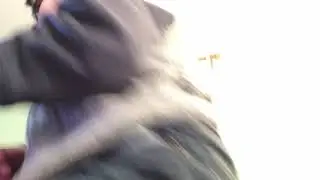 Pugs can dance!!!!!!