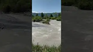 Лепсы. Лепота