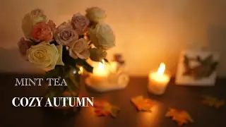 Cozy and calm life in autumn 🍂