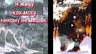 Я живу как могу