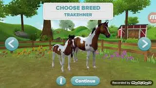 Star Stable Horses 