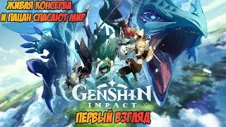 Первый взгляд на Genshin Impact