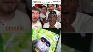 I met mrbeast & KSI on omegle 😳OMG 