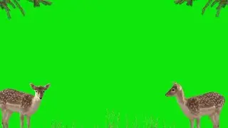 # green screen video.. free no copyright ...