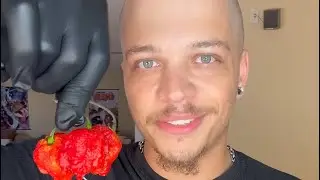 3 Fresh Carolina Reapers
