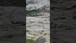 #БектауАта