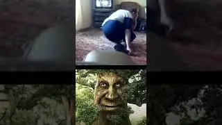 мем с дубом 