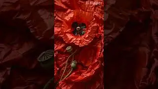 До скорых встреч (кавер) #haiper #музыка #suno #нейросеть #music