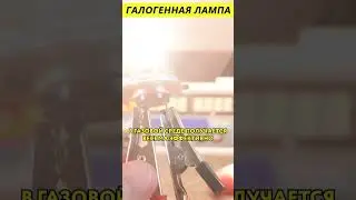 Галогенная лампа 
