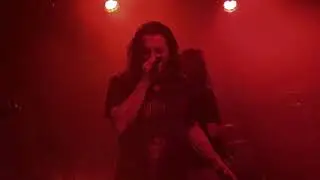 Disease Illusion - Red Wine Stained Cheek [Live 2019]