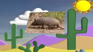 Texas man hits himself by shooting Armadillo !