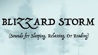 ❄️SOUNDS OF A BLIZZARD STORM (Sleep, Relax, Or Read)