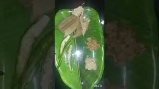 Chicken yellow rice #youtubeshorts #food #recipe #easyrecipe #shorts #ytshorts