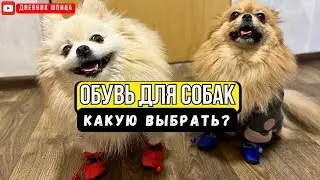 Зимняя одежда для собак 🐾 Обзор обуви для ШПИЦА