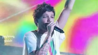 happy 25th birthday louis !!