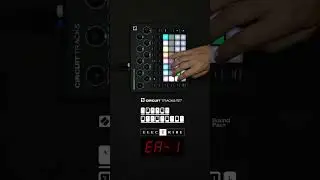 ELECTRIBE EA-1 #NOVATION #CIRCUITTRACKS #KORG