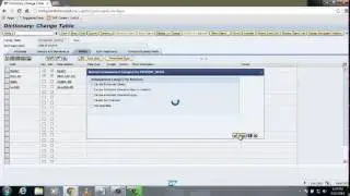 How to create Table in SAP (Custom define)