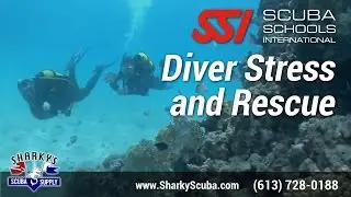 SSI Diver Stress and Rescue Course - Ottawa Scuba Diving