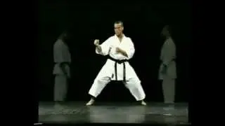 Kata Enpi - Bunkai