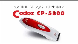Codos CP-5800 водонепроницаемая машинка для стрижки шерсти животных
