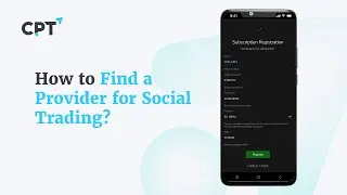 How to Find a Provider for Social Trading