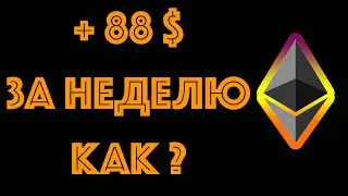 +88$ ЗА НЕДЕЛЮ пассивный доход идеи пассивный доход 2021 пассивный заработок