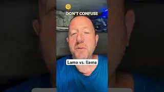 Lama vs. llama—don’t confuse these! #grammar #learnenglish