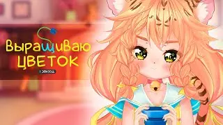 Выращиваю цветочек!