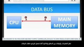 Buses  (Internal Hardware Of A Computer - AQA A Level Computer Science)