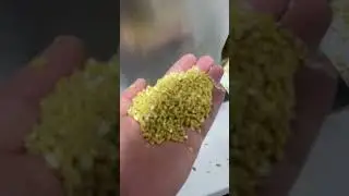 #colorsorter Color Sorter for bulgur wheat | Bulgur Renk Ayırıcı | Iraq