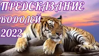🐯ВОДОЛЕЙ ПРЕДСКАЗАНИЕ на 2022. Сомнения. Финансы. Прохлада в отношениях. Женственность. Твори.