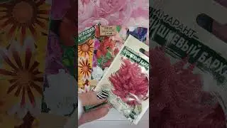 Цветы однолетники
