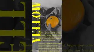 A yellow orange? Check out this colour theory filter i created #sparkar #artistsoninstagram #colors